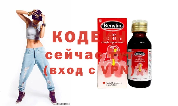 прущие грибы Каменка