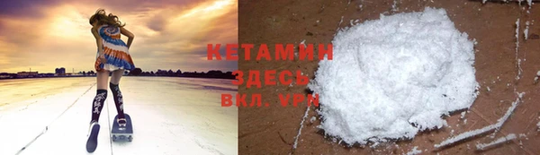 прущие грибы Каменка