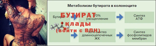 прущие грибы Каменка