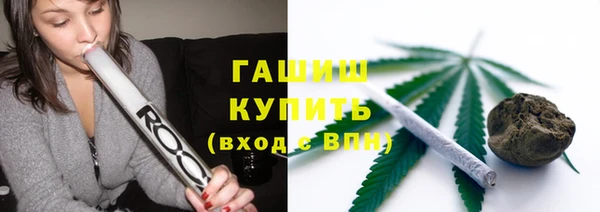 прущие грибы Каменка