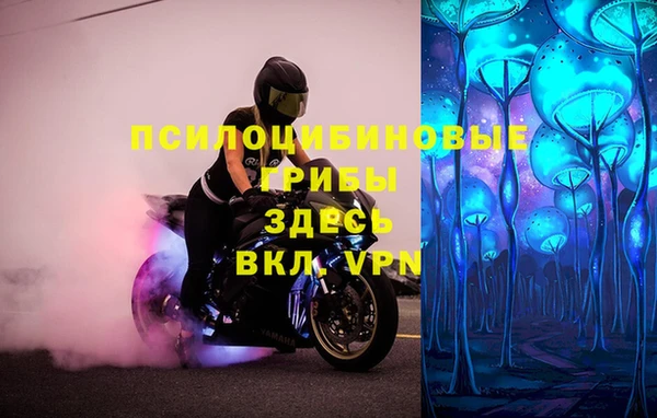 прущие грибы Каменка