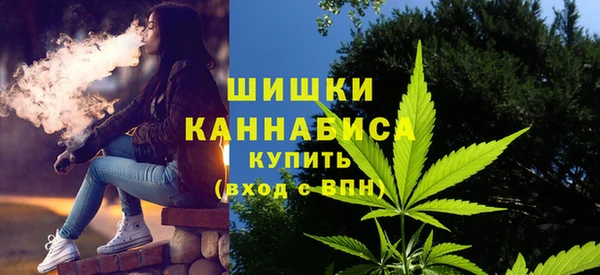 прущие грибы Каменка
