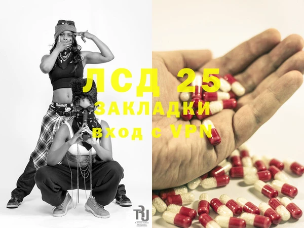 прущие грибы Каменка