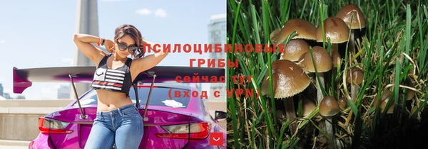 прущие грибы Каменка