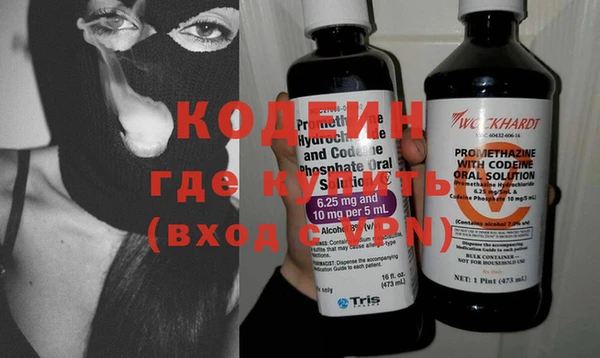 прущие грибы Каменка