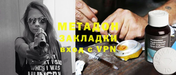 прущие грибы Каменка