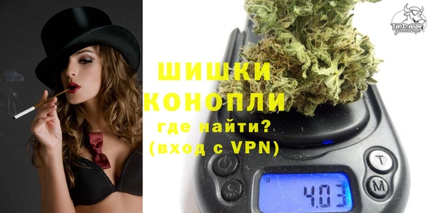 прущие грибы Каменка