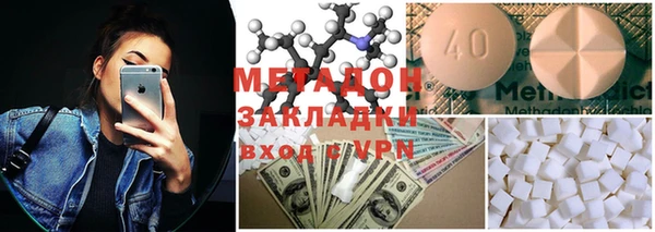 прущие грибы Каменка
