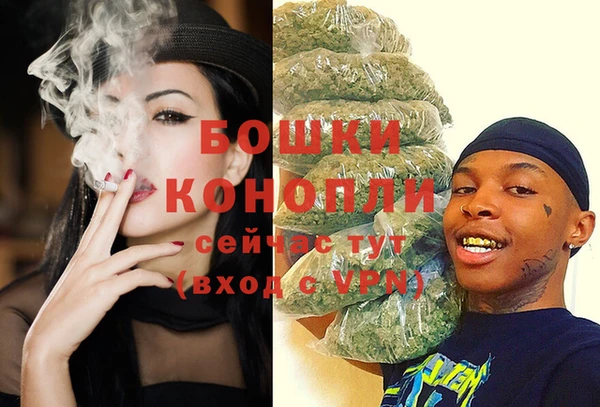 прущие грибы Каменка