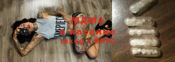 прущие грибы Каменка