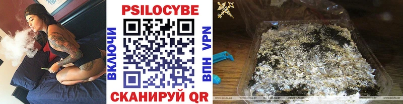 Купить закладки  Бронницы  Псилоцибиновые грибы GOLDEN TEACHER 
